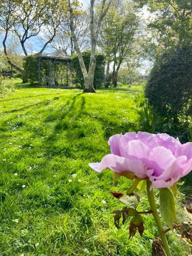 La Ptite Normande Bed & Breakfast Saint-Germain-de-Tournebut Eksteriør bilde